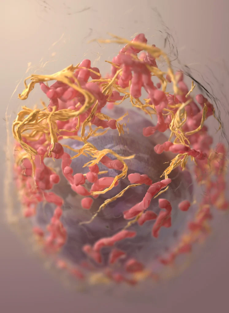 Lung cancer symptoms, smoking risk factors and early detection